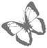 dsgn_348_butterfly2.png
